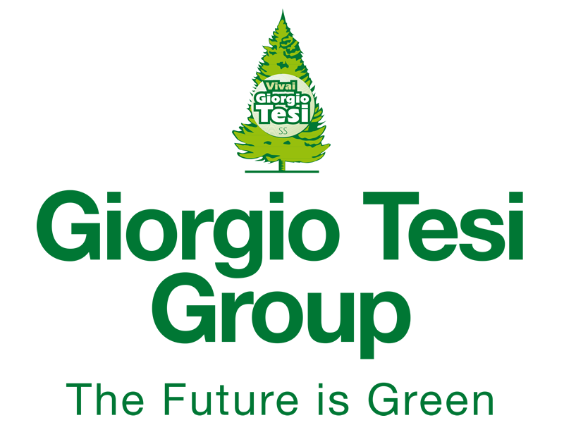 GIORGIO TESI GROUP